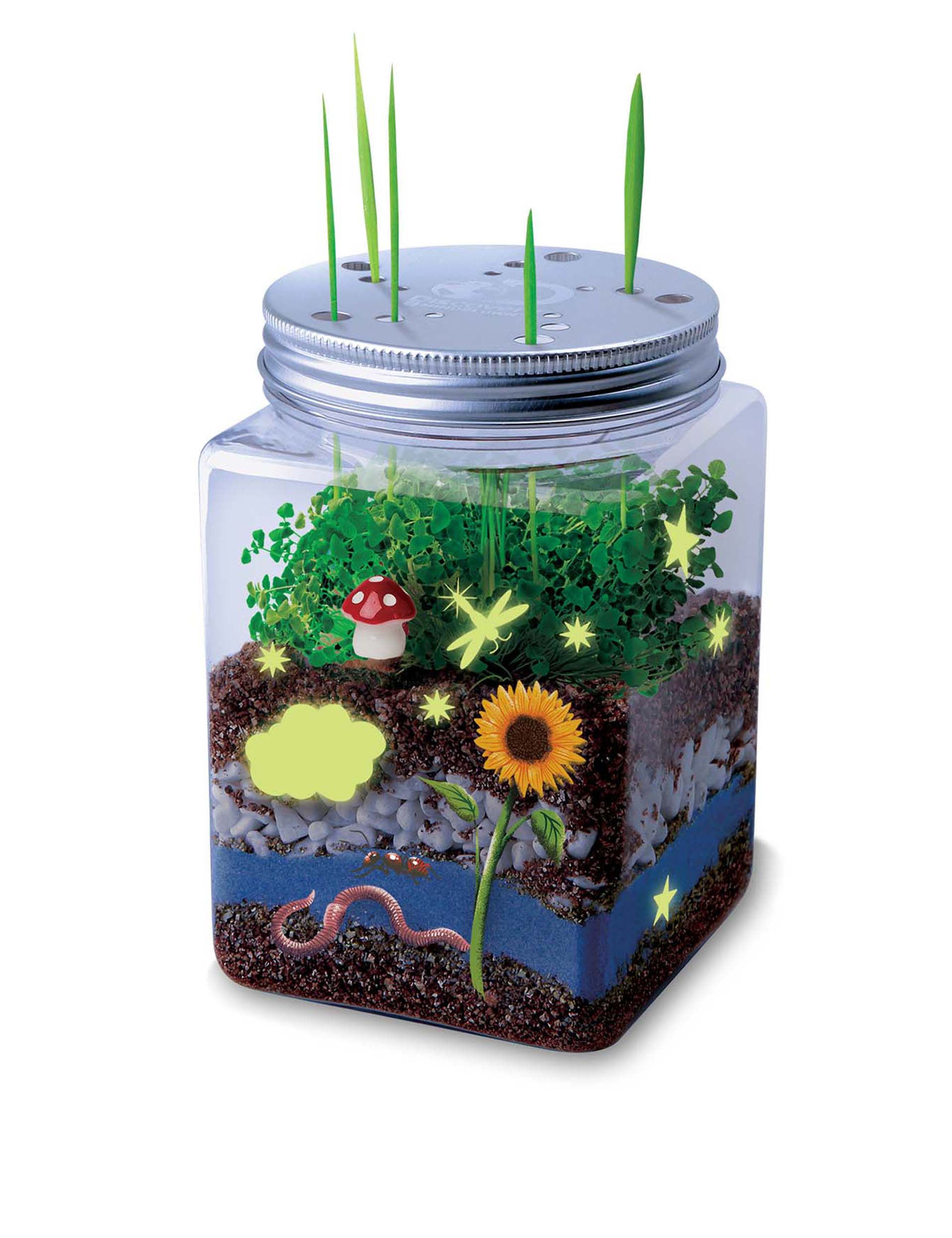 DIY Terrarium Grow Kit (6+ Yrs) Discovery Mindblown M&S