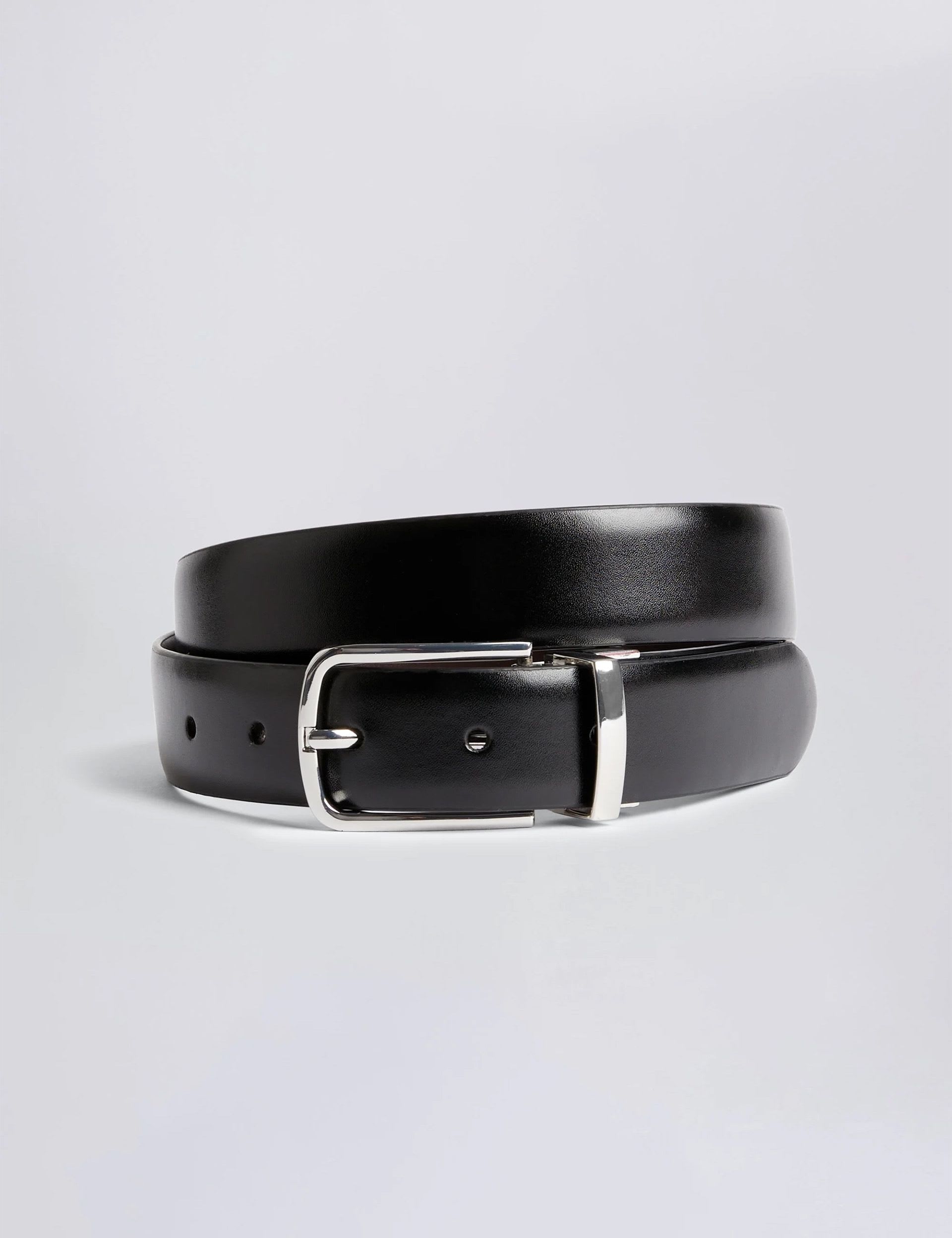 Reversible Belt