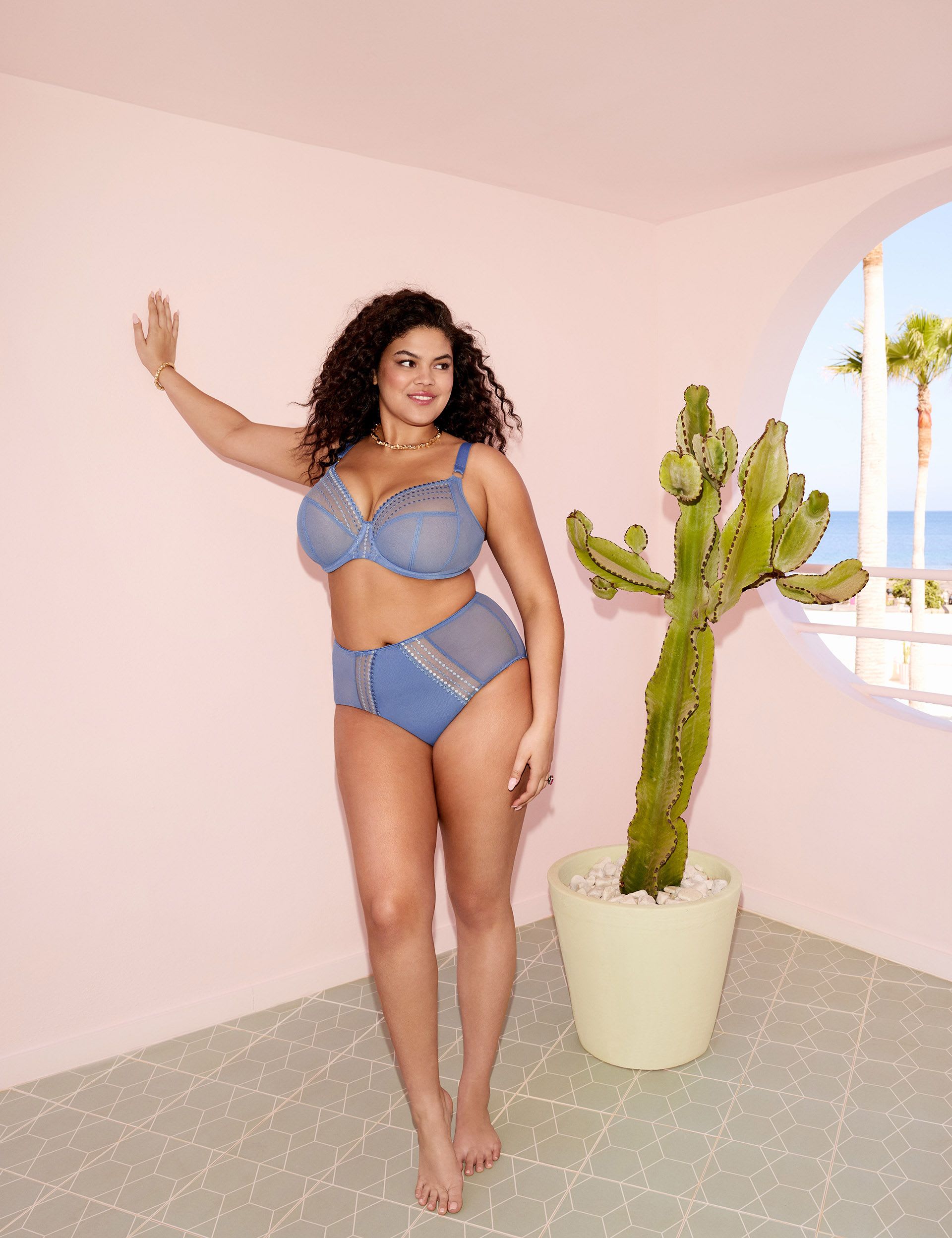 Matilda Mesh Embroidered Full Briefs