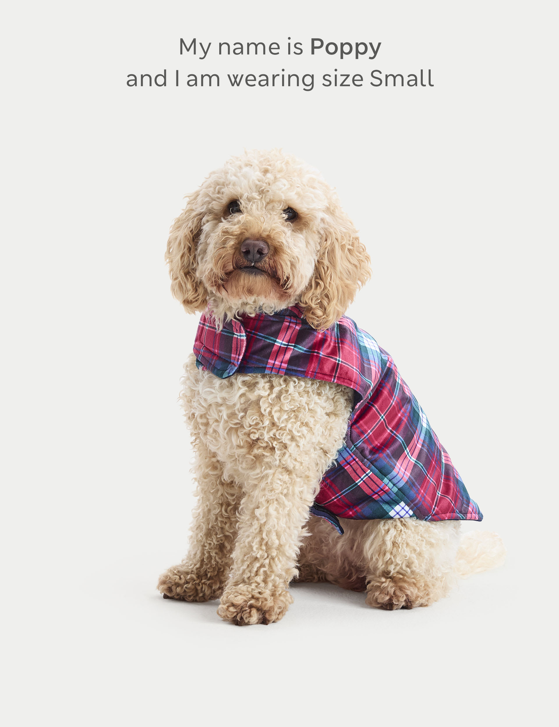 Tartan dog jumper top