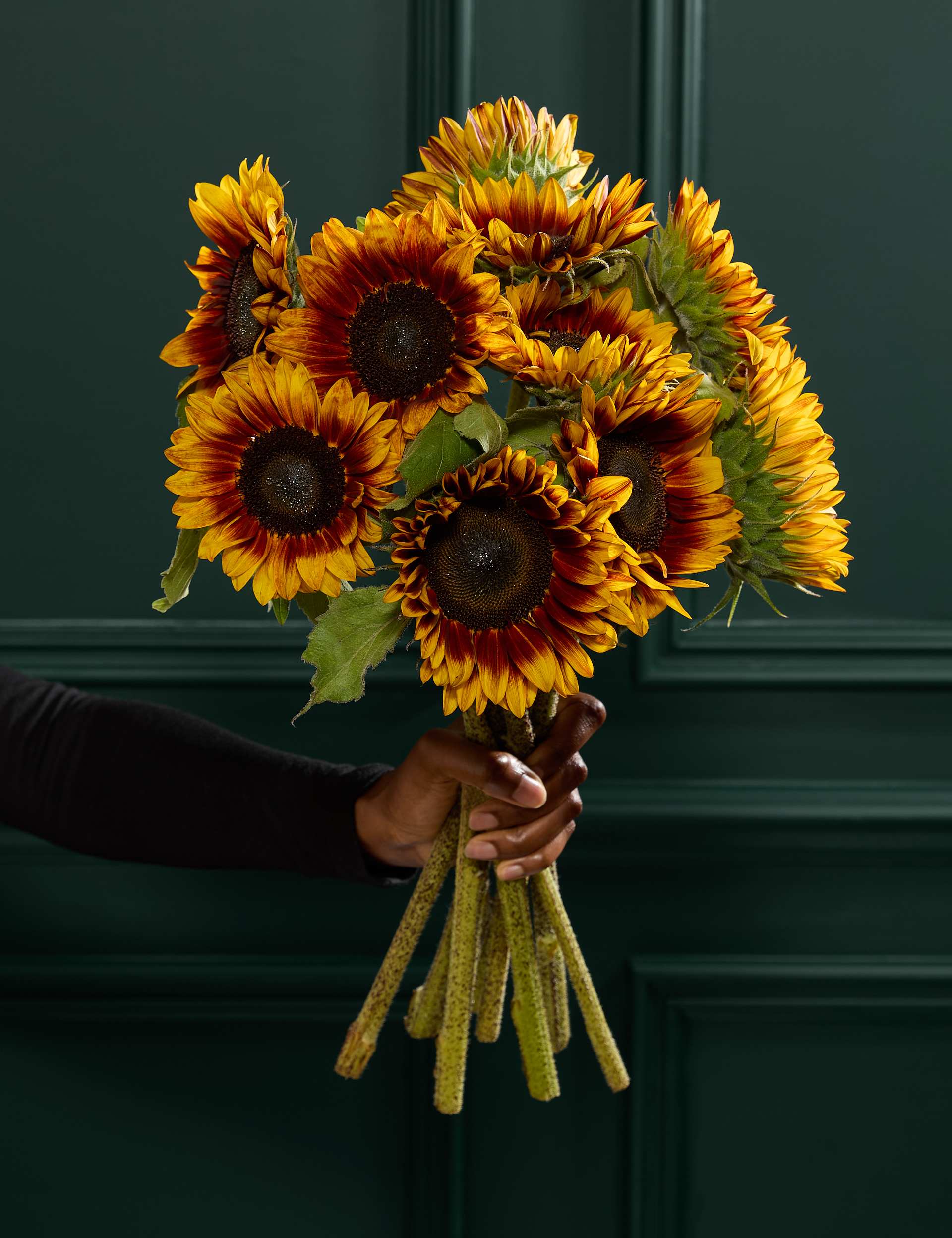 Speciality Sunflower Abundance Bouquet