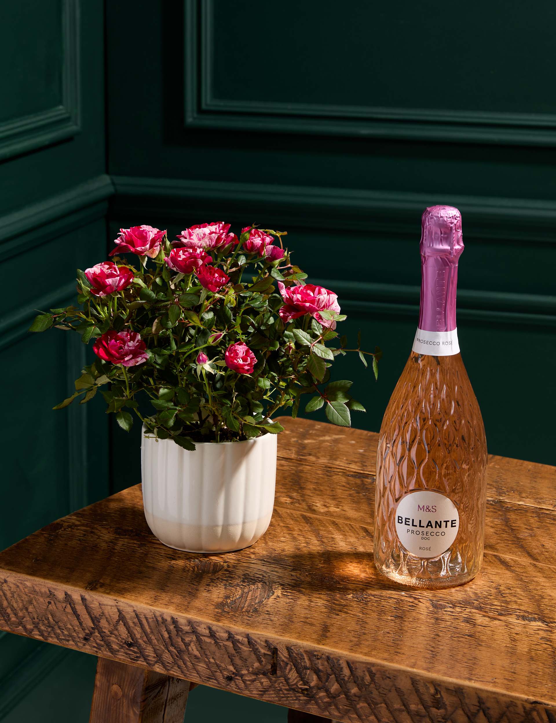 Gigi Rose in Ceramic Pot with Prosecco