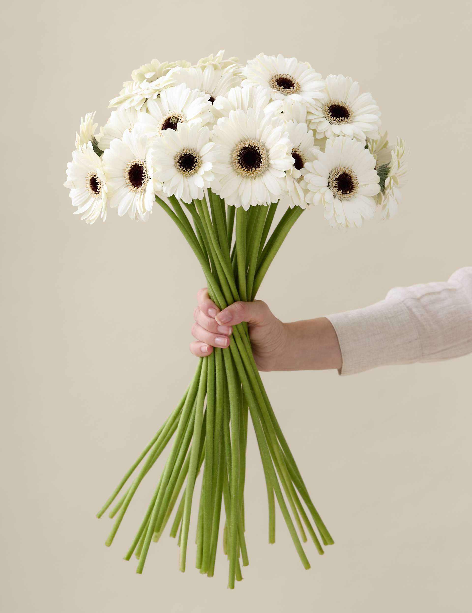 White Germini Bouquet