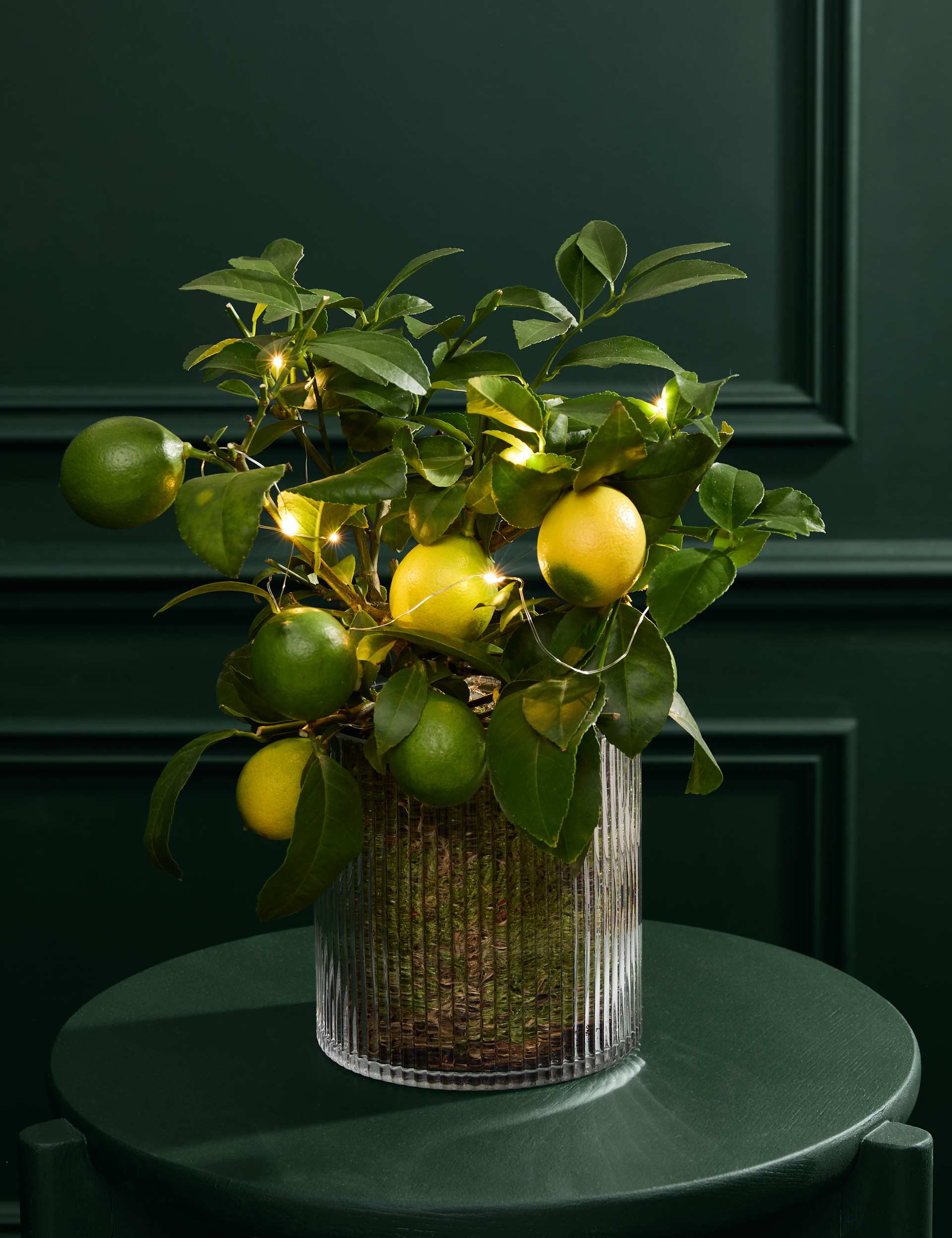 Festive Citrus Tree in Mercury Glass Pot with Lights