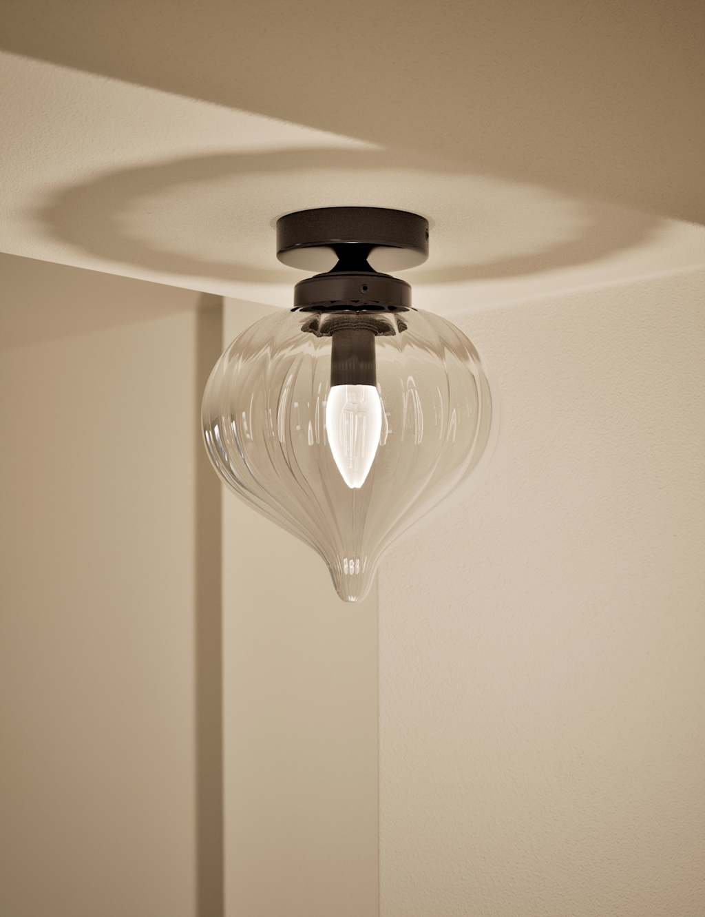 Teardrop Flush Light 2 of 5