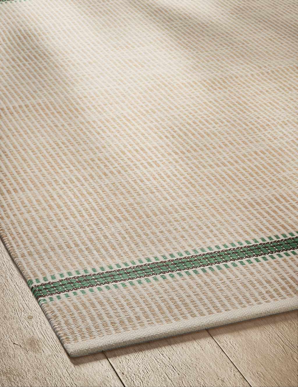 Border Striped Rug 3 of 4