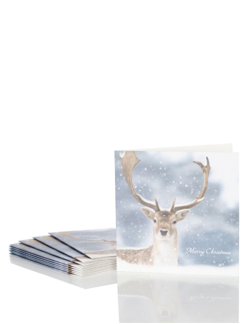 10 Photo Stag Christmas Multipack of Cards 1 of 2