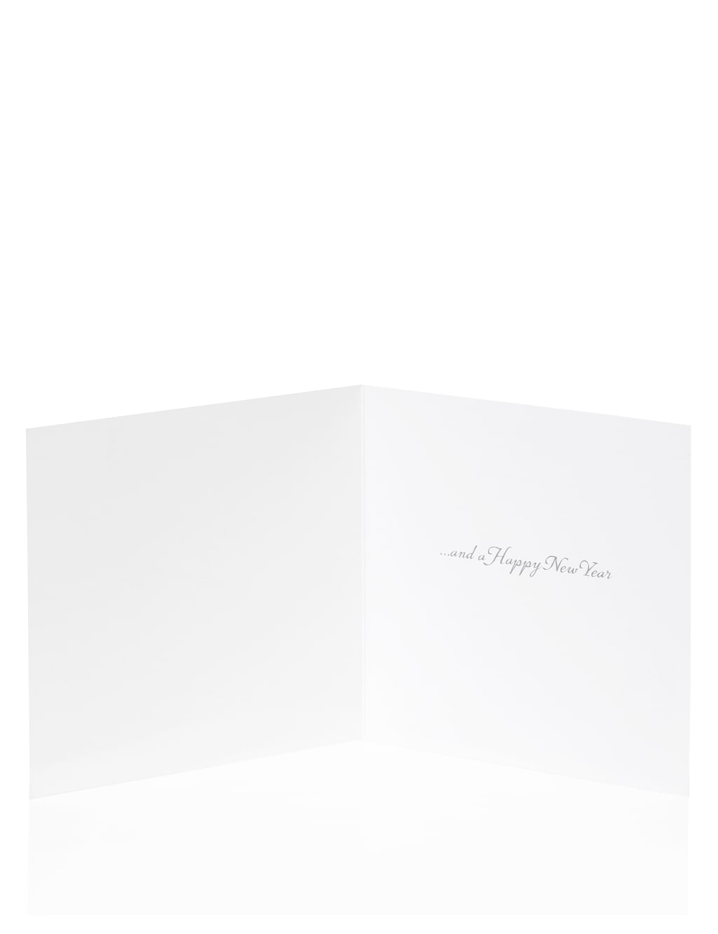 10 Photo Stag Christmas Multipack of Cards 2 of 2