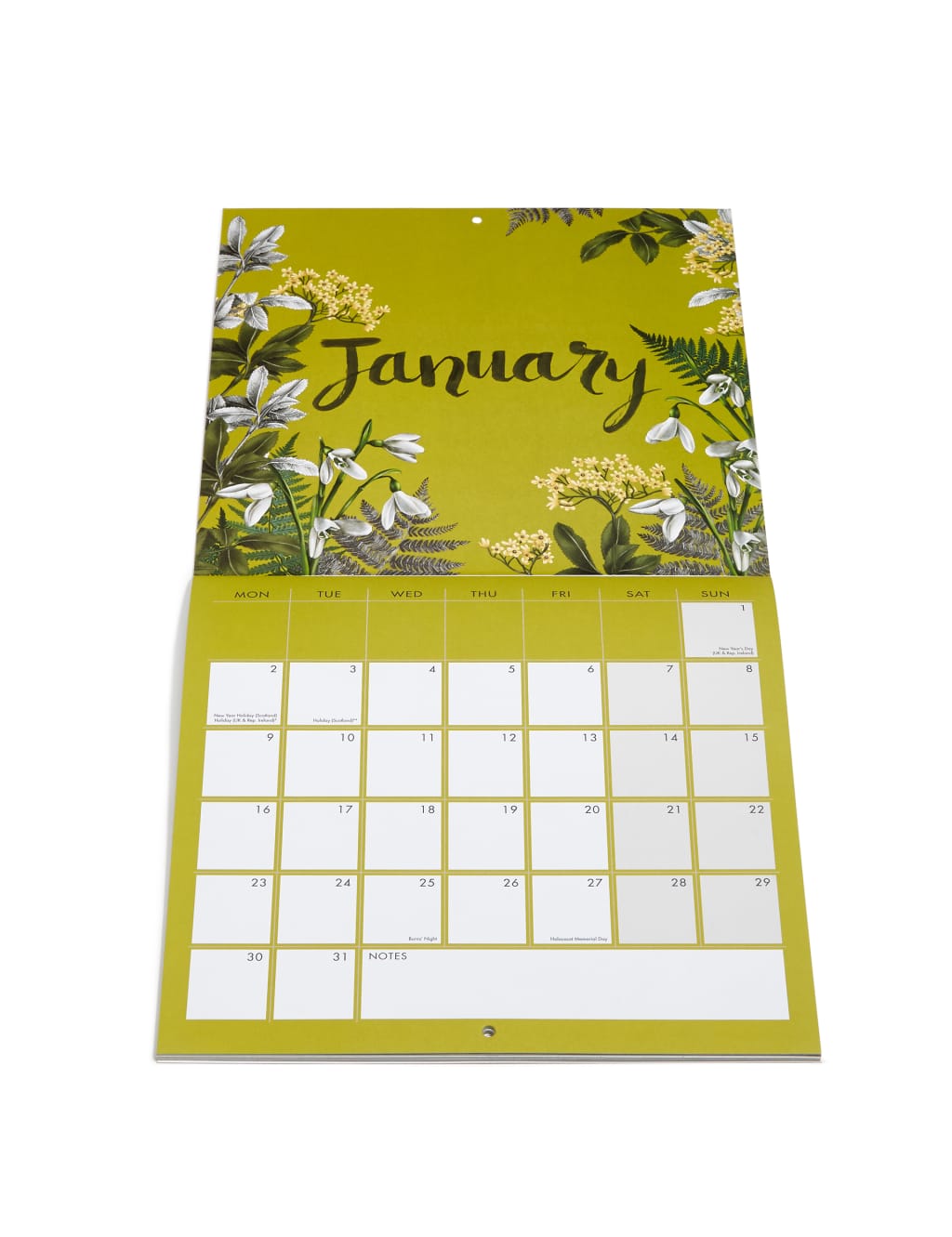 Botanical Calendar 3 of 5