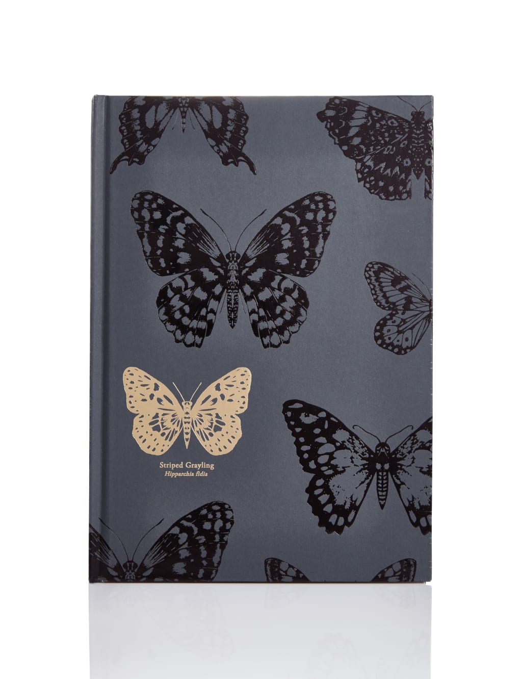 Curiosities ‘Striped Grayling’ Hard Back Notebook 1 of 3