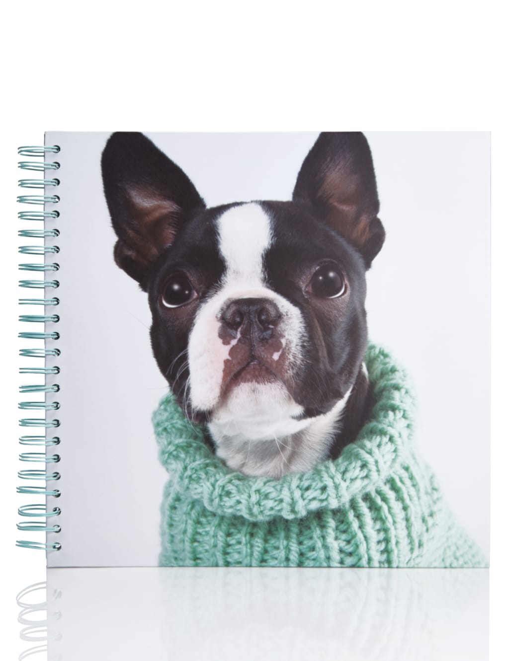 Boston Terrier Scrapbook 1 of 3