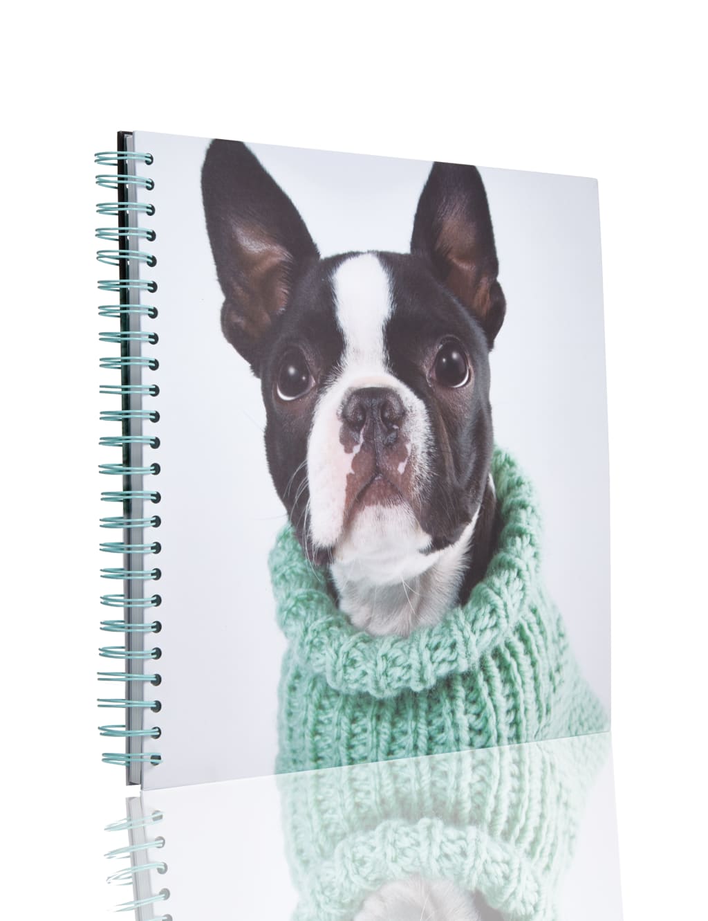 Boston Terrier Scrapbook 2 of 3