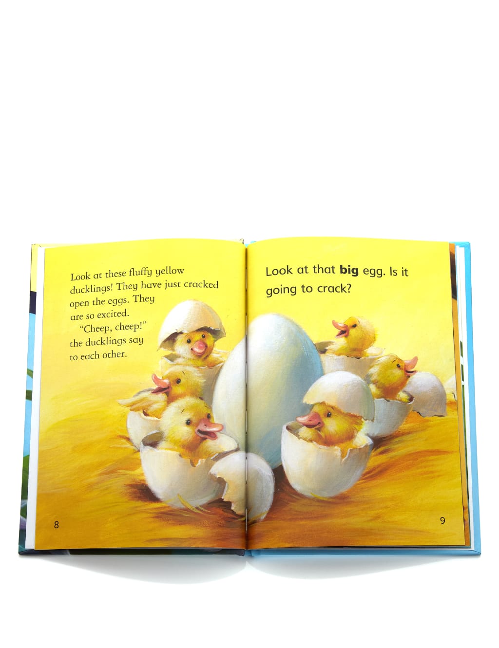 First Reader The Ugly Duckling Story Book 3 of 4