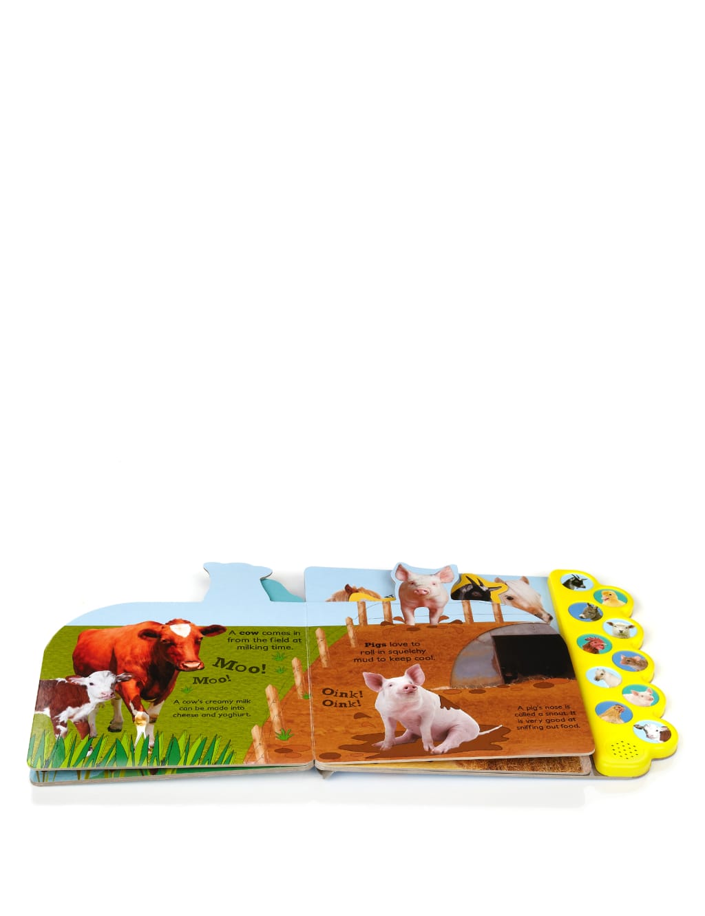Noisy Farm Sound Book 2 of 3