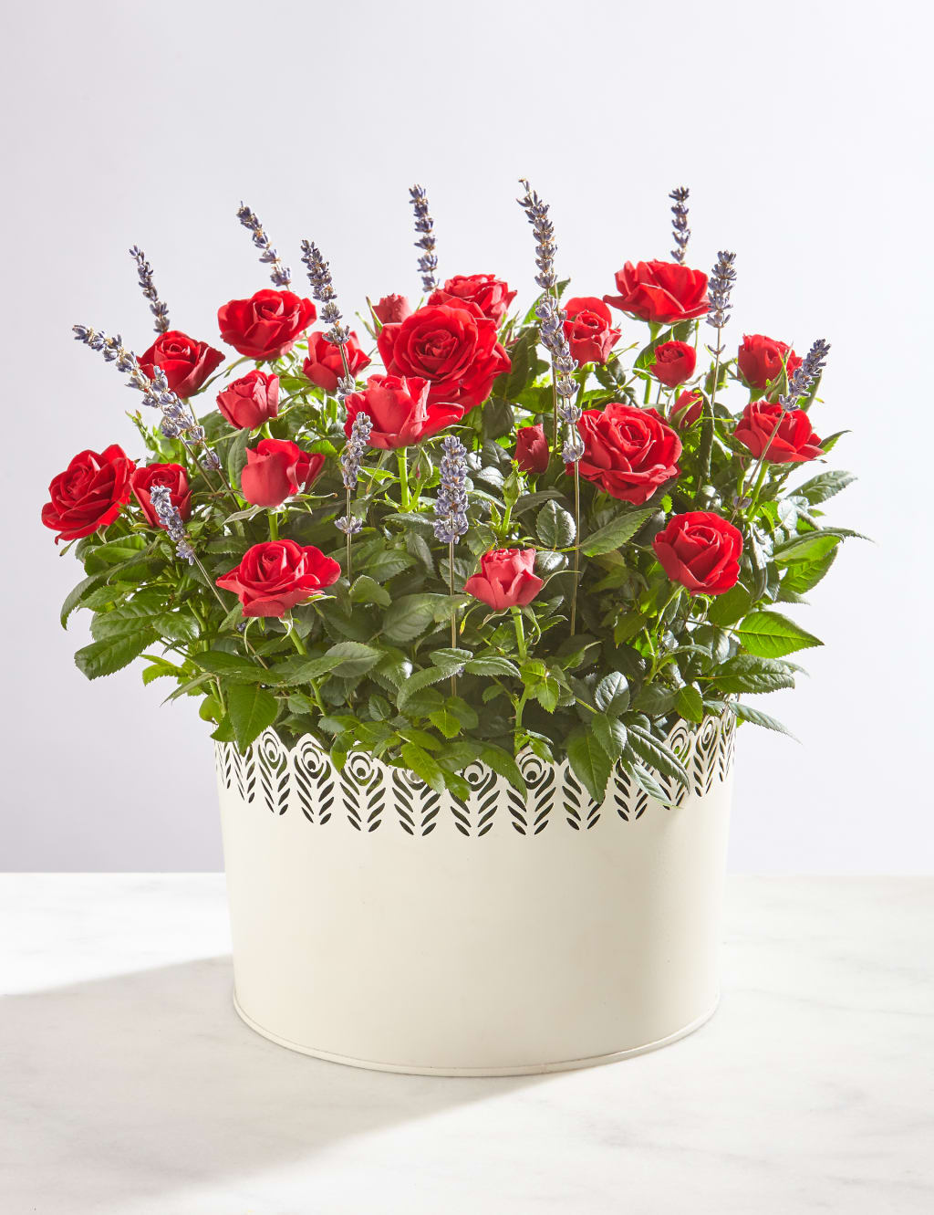 Red Rose & Lavender Bowl 1 of 3