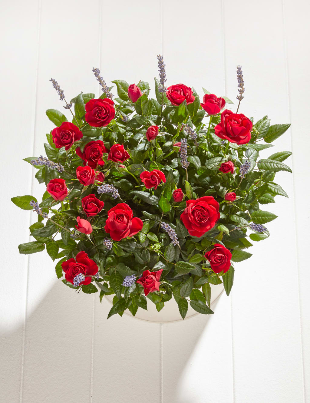 Red Rose & Lavender Bowl 2 of 3