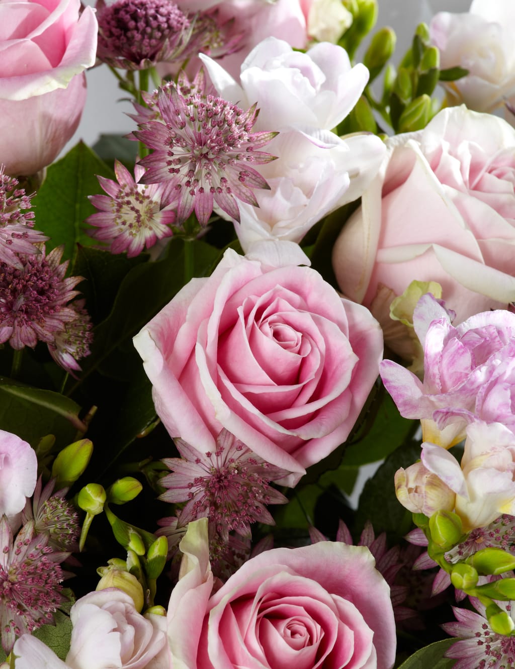 Autograph™ Rose & Freesia Gift Bag 5 of 5