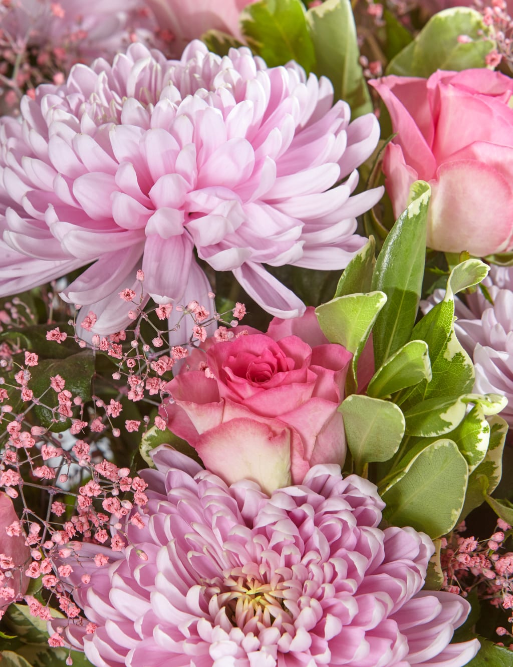 In the Pink - Limited Edition Breast Cancer Charity Bouquet 4 of 4
