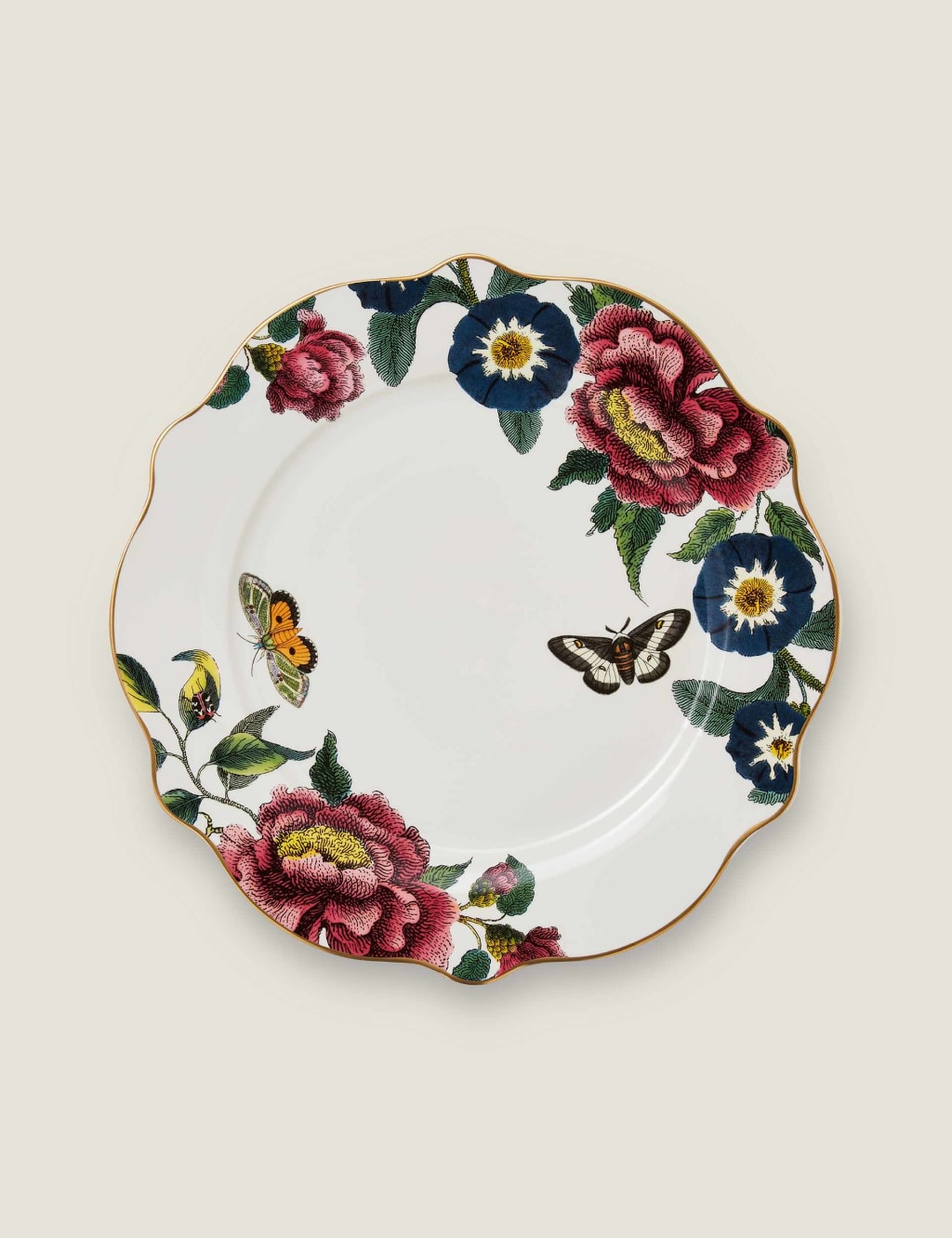 Set of 4 Creatures of Curiosity Dinner Plates 2 of 5