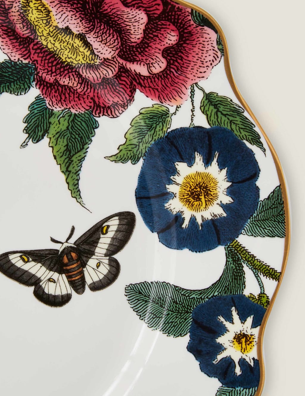 Set of 4 Creatures of Curiosity Dinner Plates 3 of 5