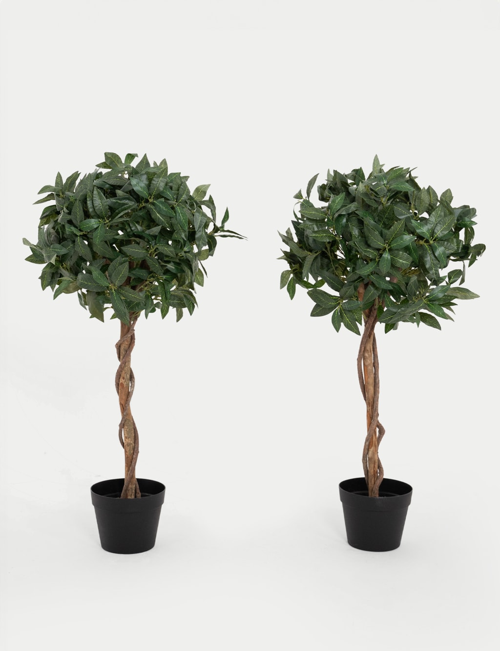 3ft Set of 2 Artificial Bay Trees in Pots 1 of 2