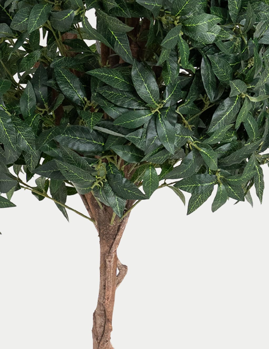 6ft Set of 2 Artificial Floor Standing Bay Trees 2 of 2
