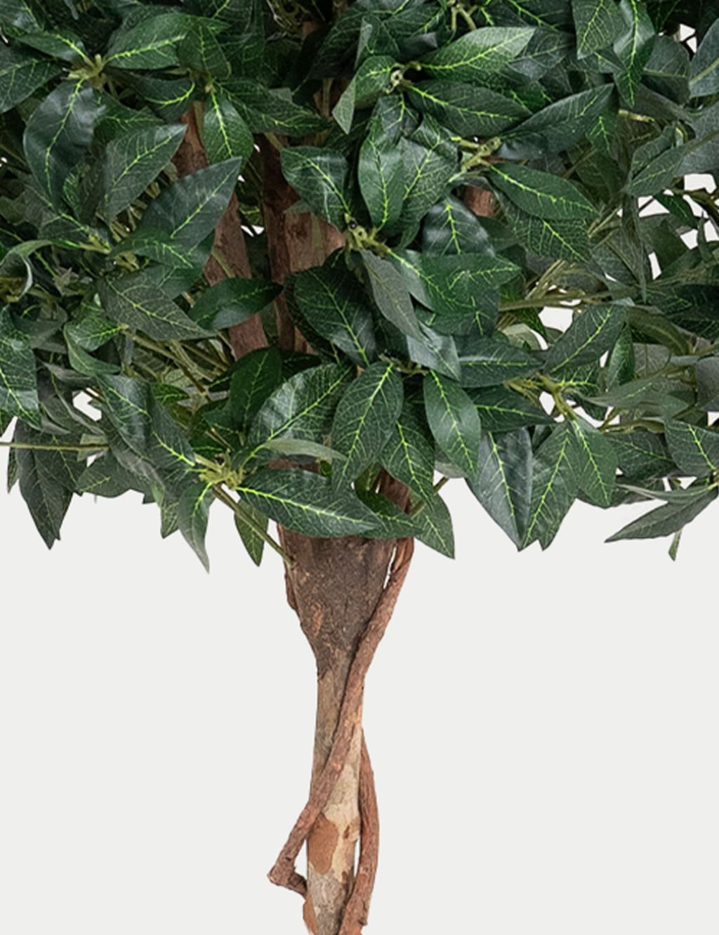 5ft Set of 2 Artificial Tall Bay Trees in Pots 2 of 3