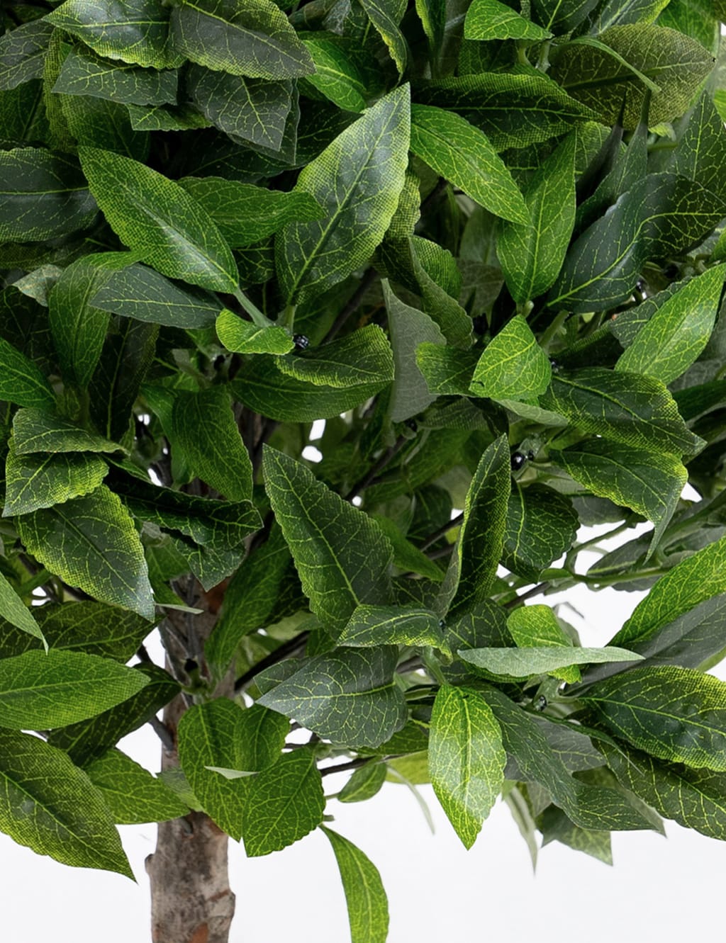 2.5ft Set of 2 Artificial Bay Bush Ball Trees 2 of 3
