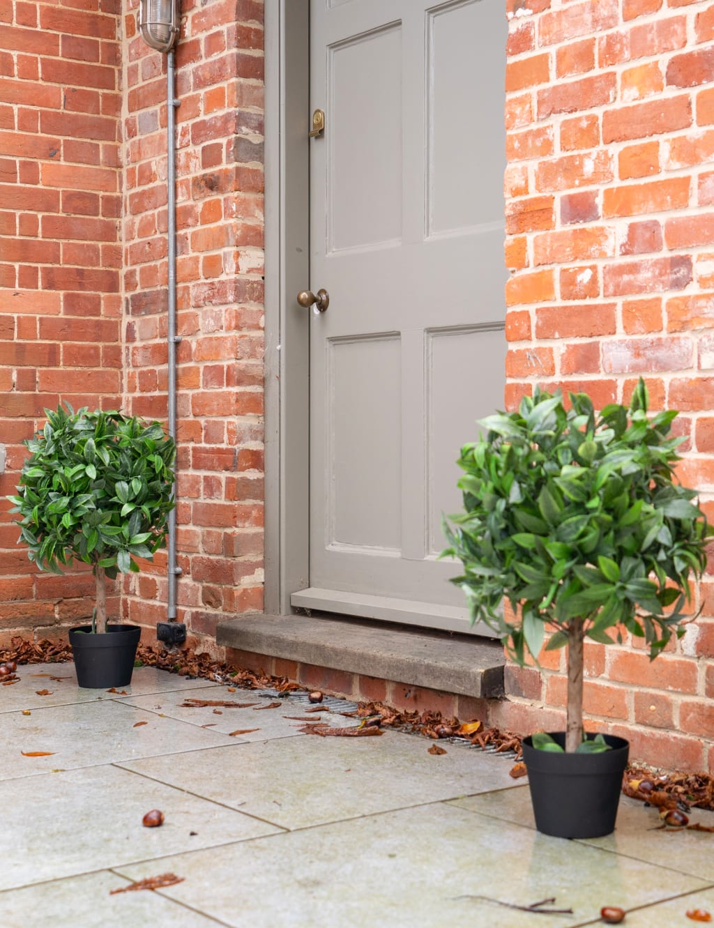 2.5ft Set of 2 Artificial Bay Bush Ball Trees 3 of 3