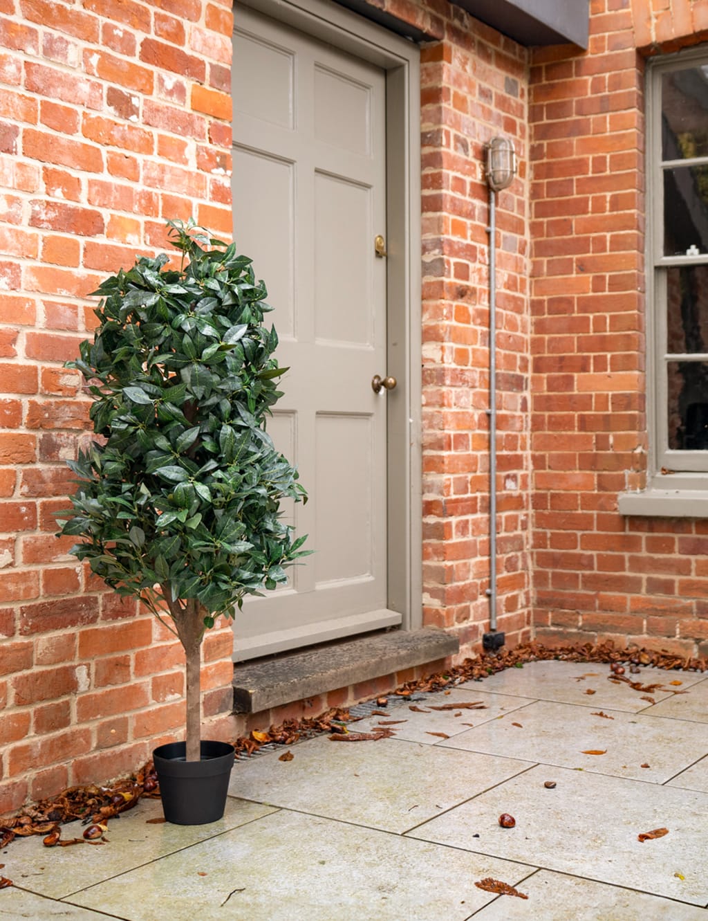 4ft Artificial Bay Cone Tree in Pot 3 of 3