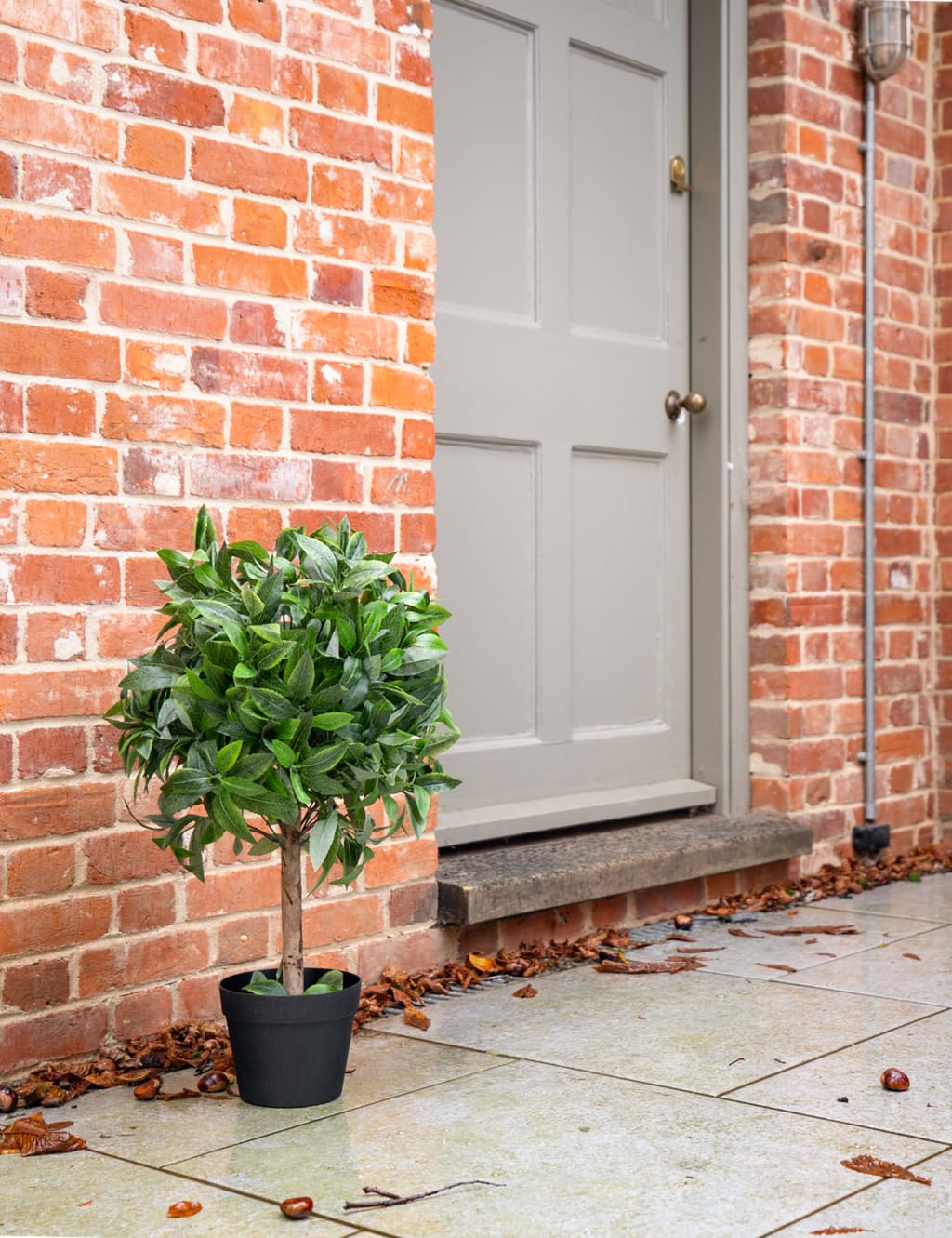 2.5ft Artificial Bay Laurel Bush Ball in Pot 3 of 3