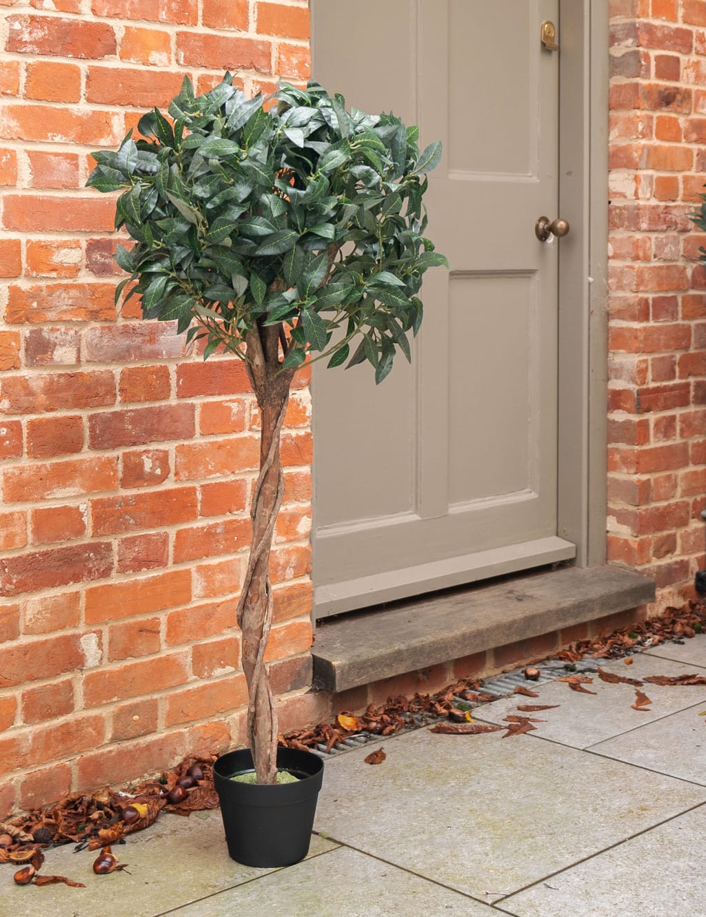 4ft Artificial Bay Laurel Tree in Pot 3 of 3
