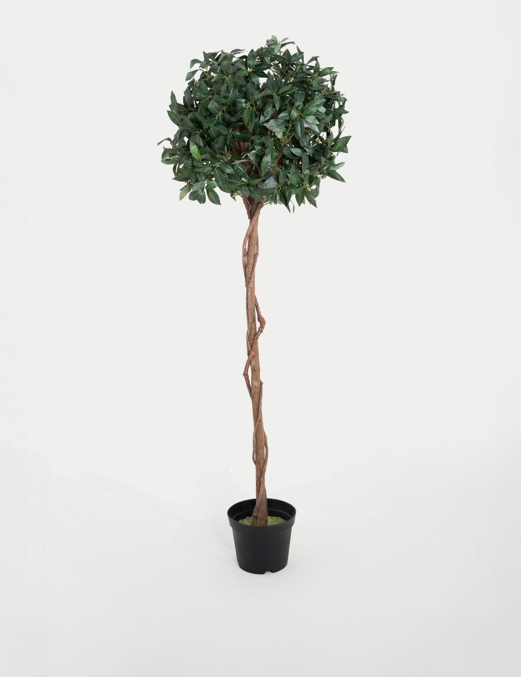 6ft Artificial Bay Laurel Tree in Pot 1 of 2