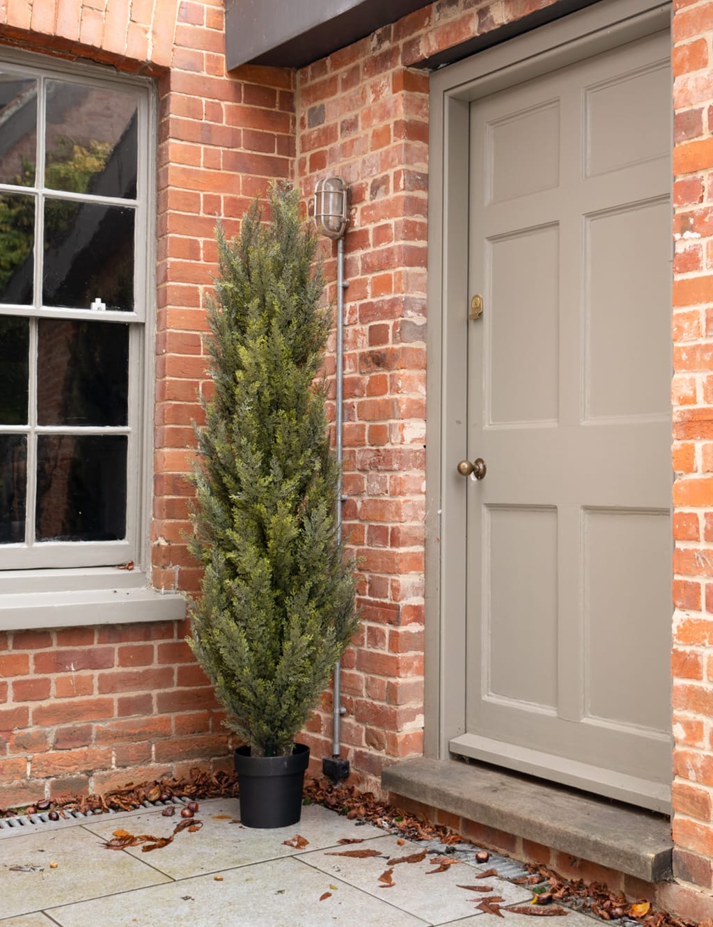 6ft Artificial Conifer Tree in Pot 3 of 3