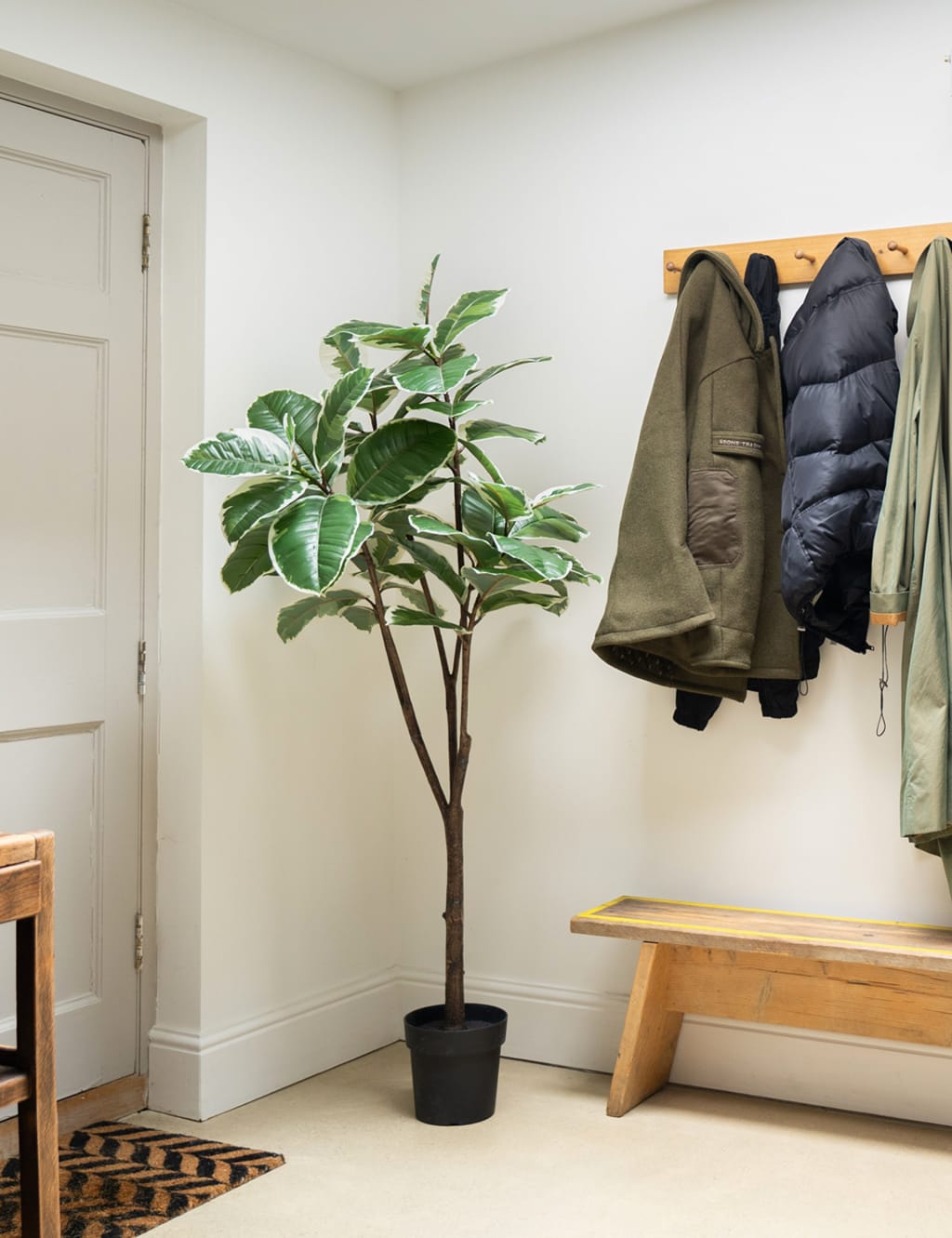 5.5ft Artificial Ficus Elastica Rubber Tree in Pot 3 of 4