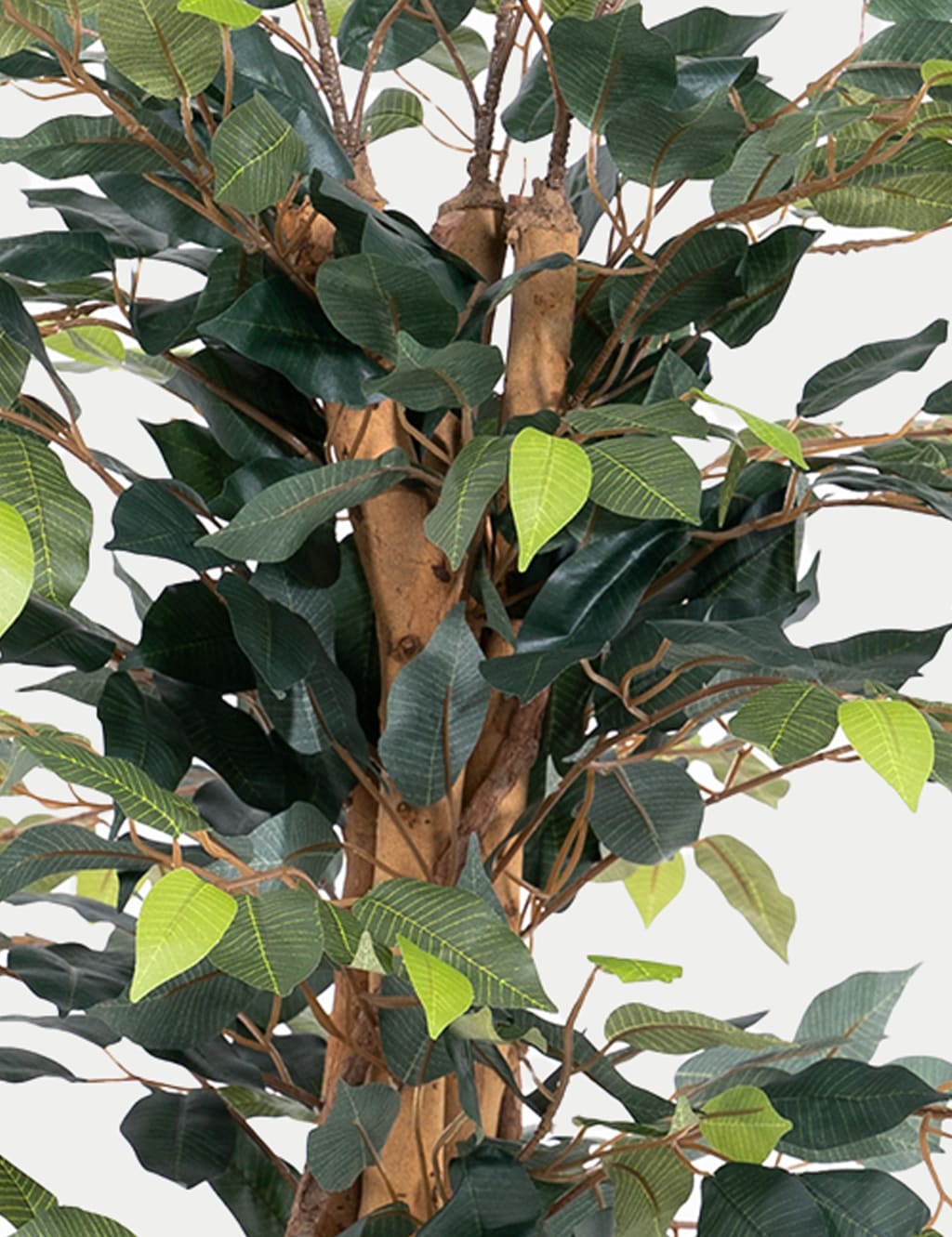 4ft Artificial Ficus Tree in Pot 2 of 2