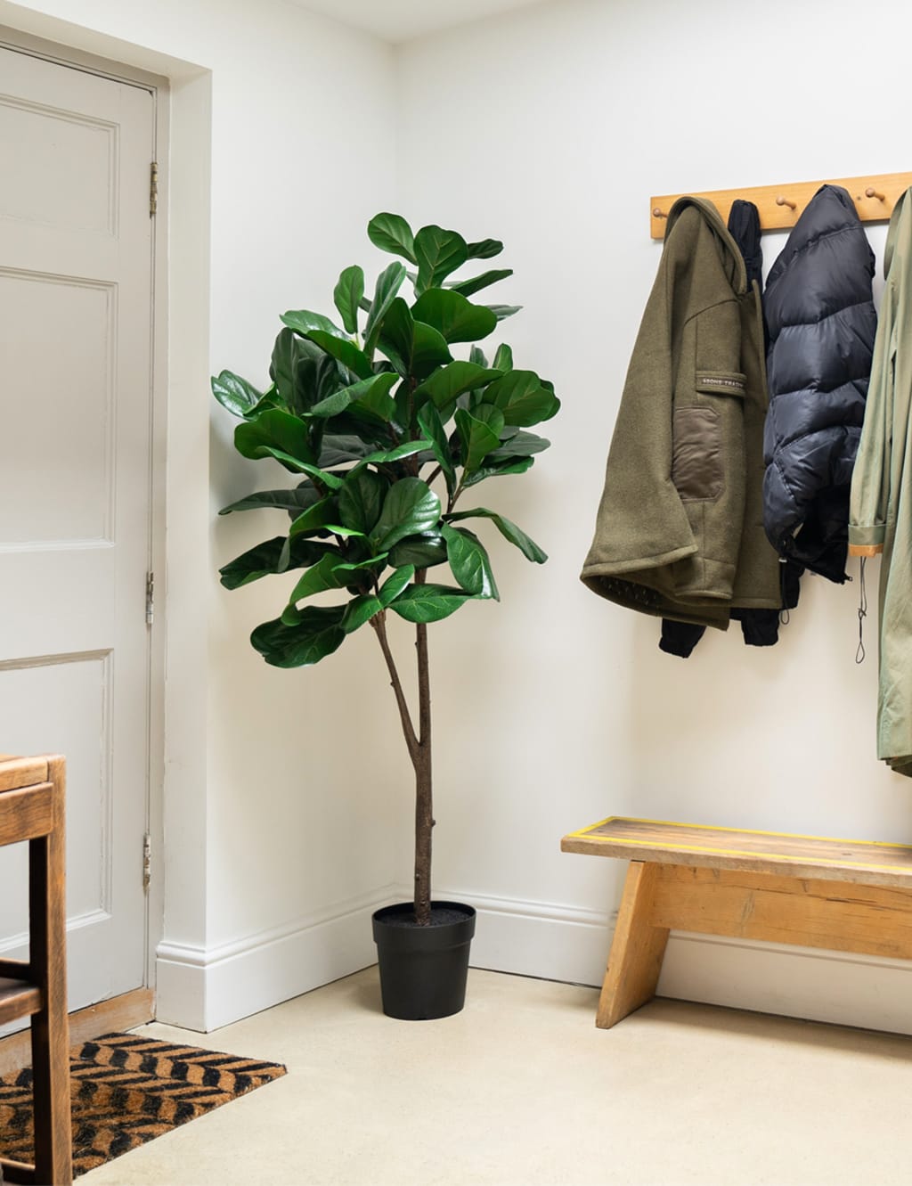 6ft Artificial Floor Standing Fig Tree