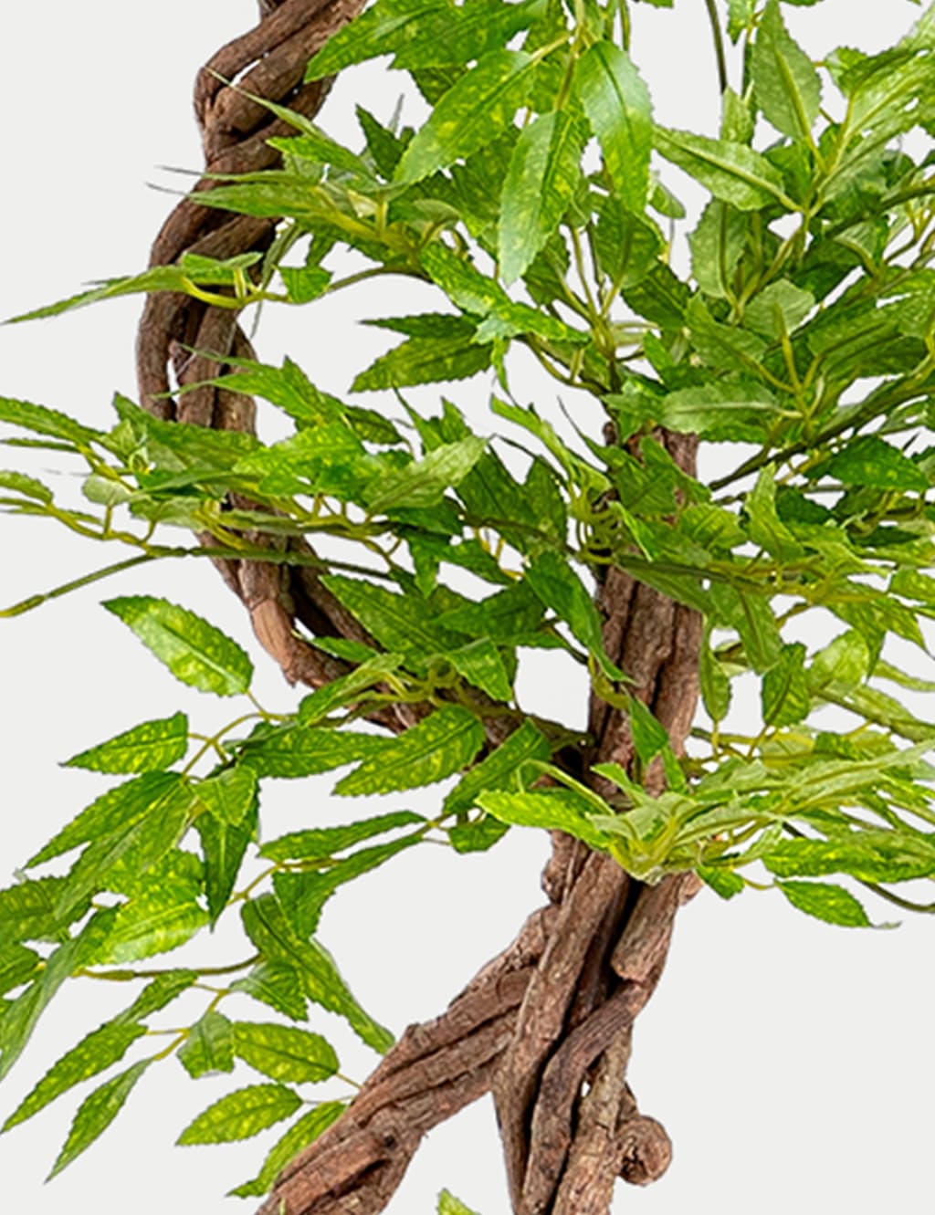 4ft Artificial Japanese Fruticosa Tree in Pot 2 of 2