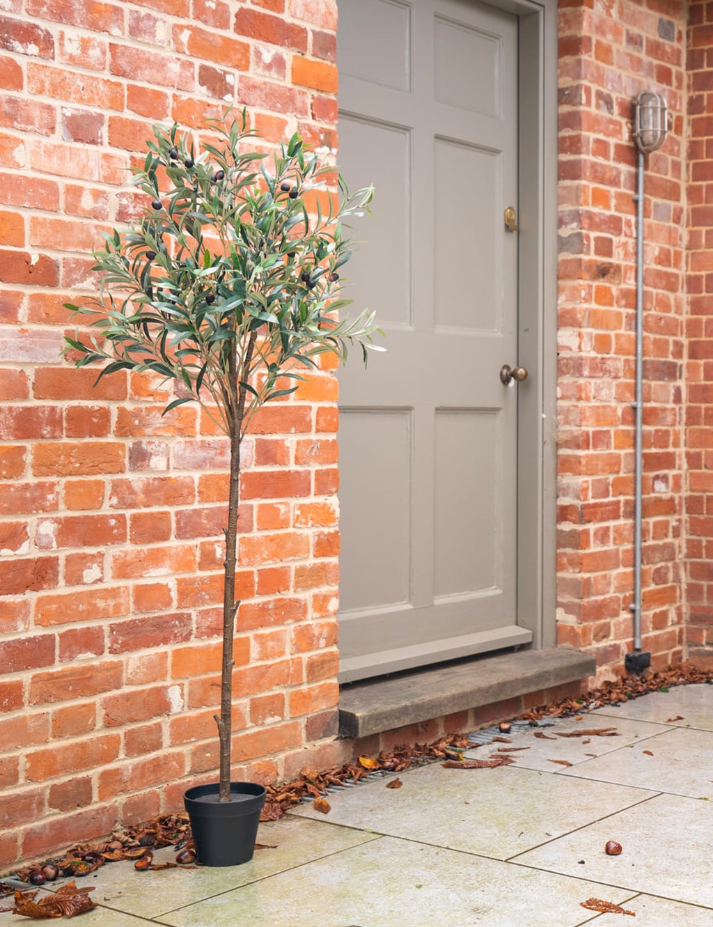 4.5ft Artificial Mediterranean Olive Tree 4 of 4