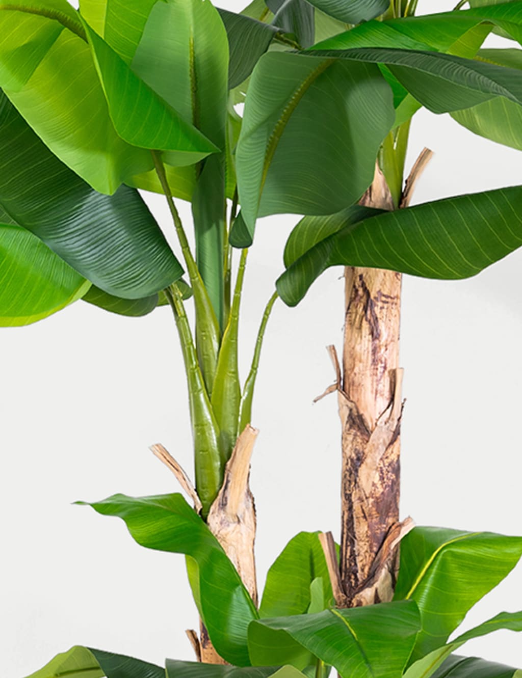 8ft Artificial Musa Basjoo Tree in Pot 2 of 2