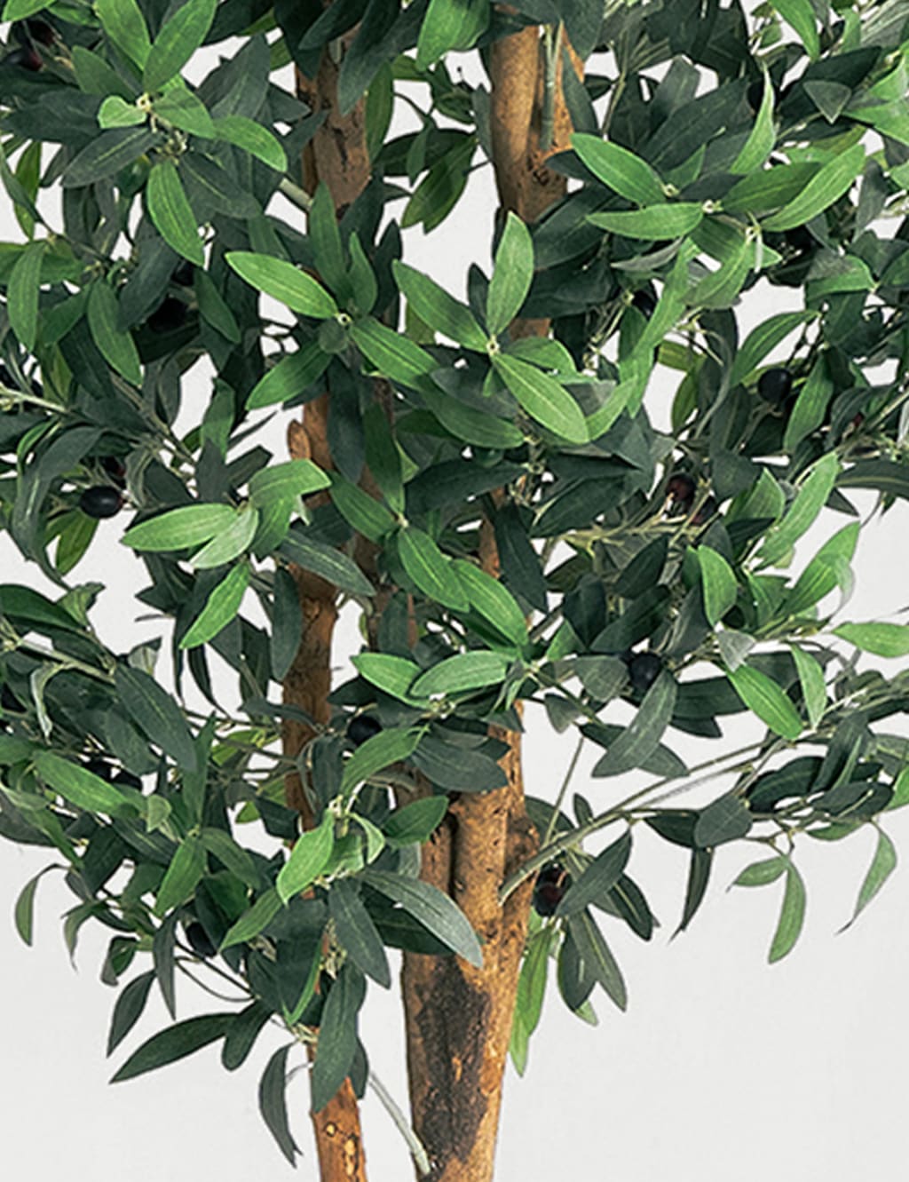6ft Artificial Olive Tree in Pot 3 of 3