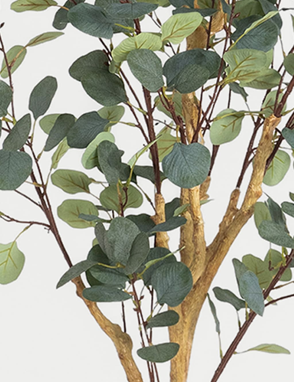 5.5ft Artificial Silver Dollar Eucalyptus Tree 2 of 4