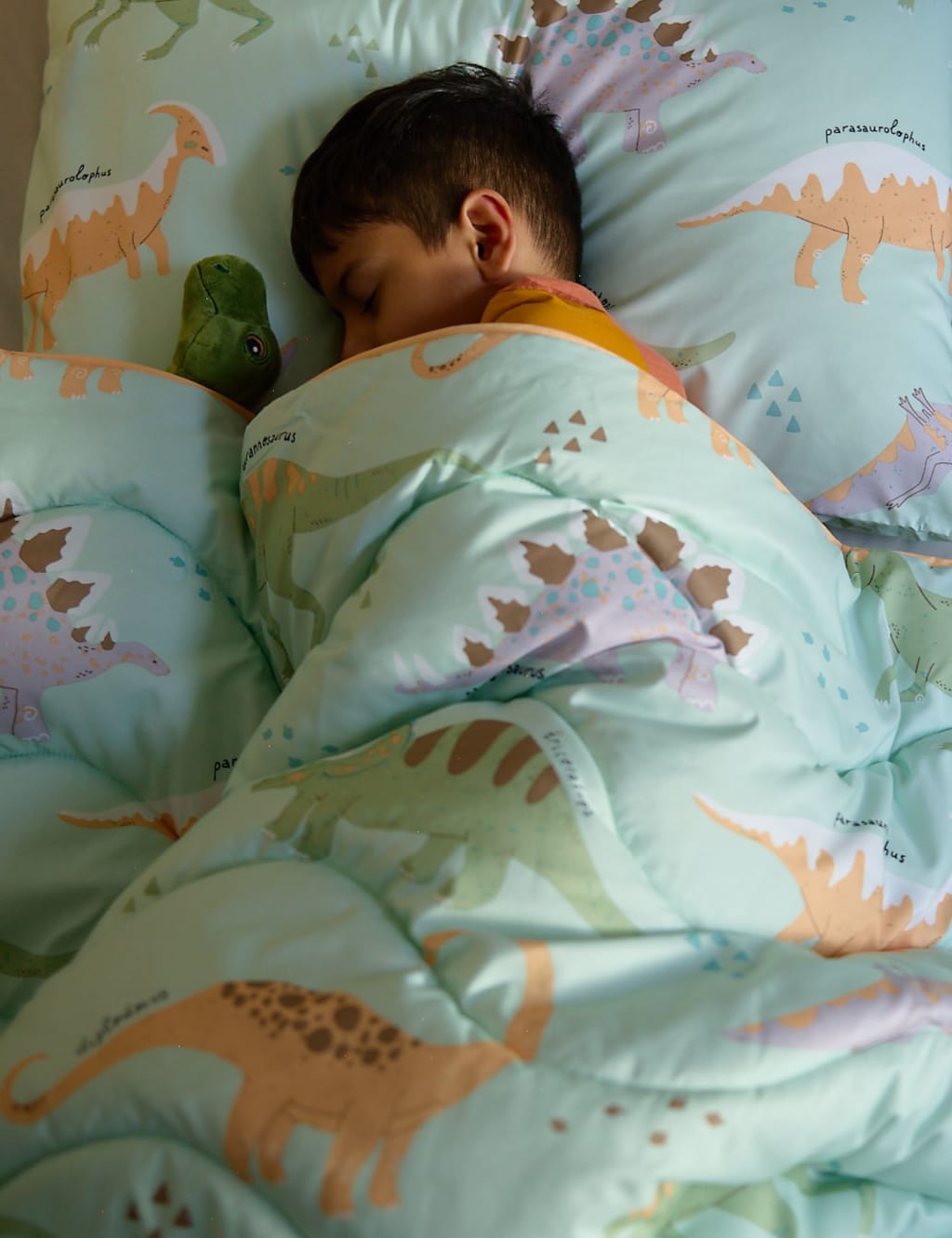 Dinosaur 4 Tog Coverless Duvet & Pillowcase 3 of 7