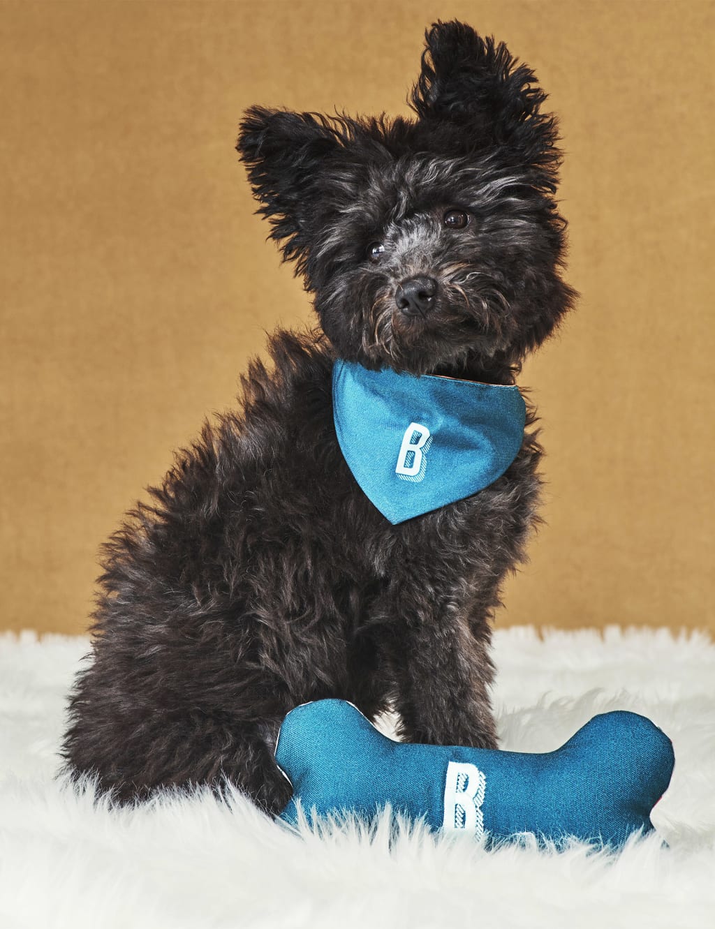 Squeaky Alphabet Soft Bone Pet Toy 7 of 7