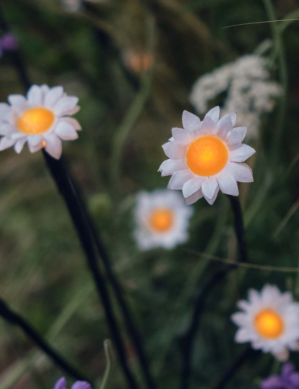 5pk LED Daisy Pathfinder Lights 2 of 3