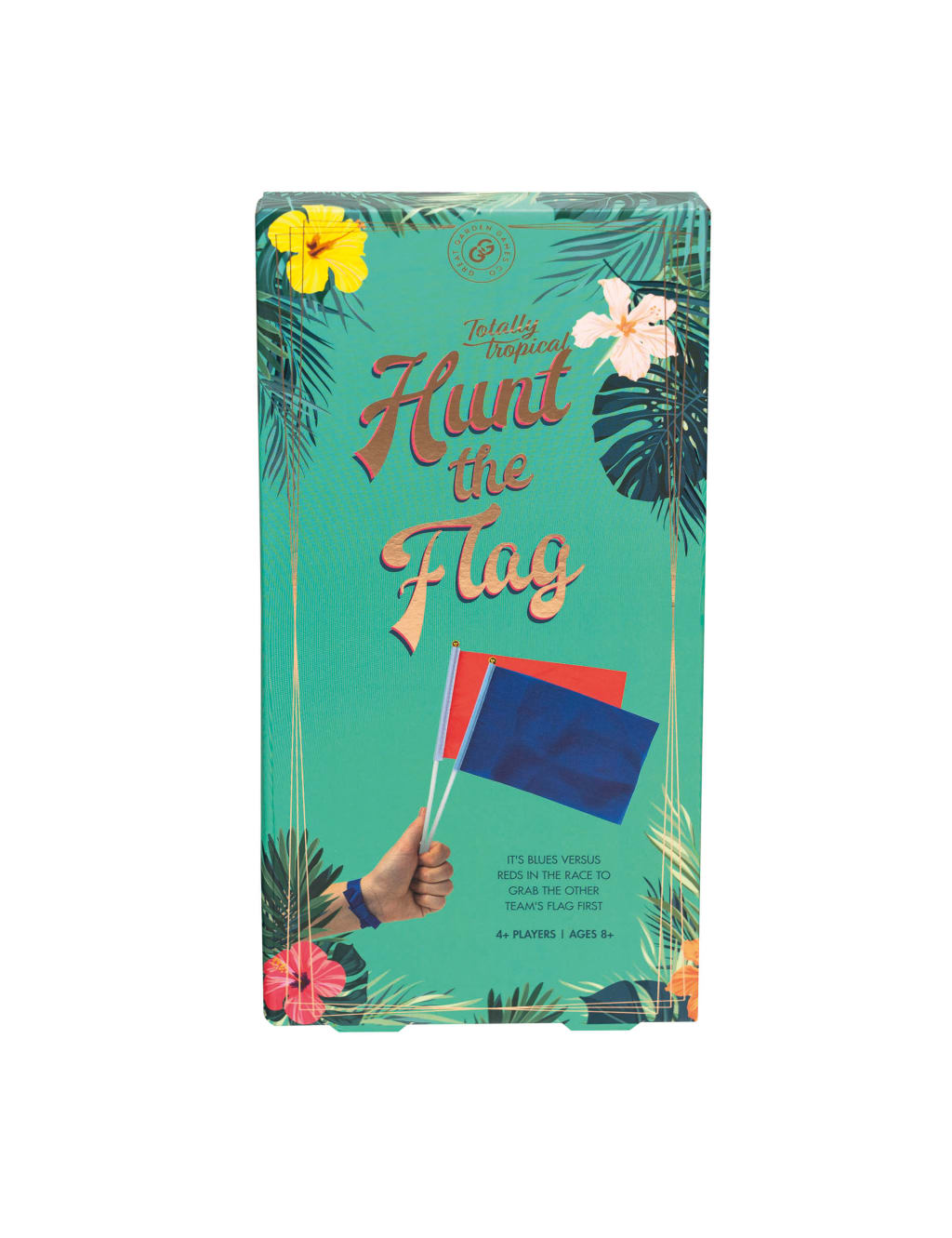Hunt The Flag Game 2 of 6