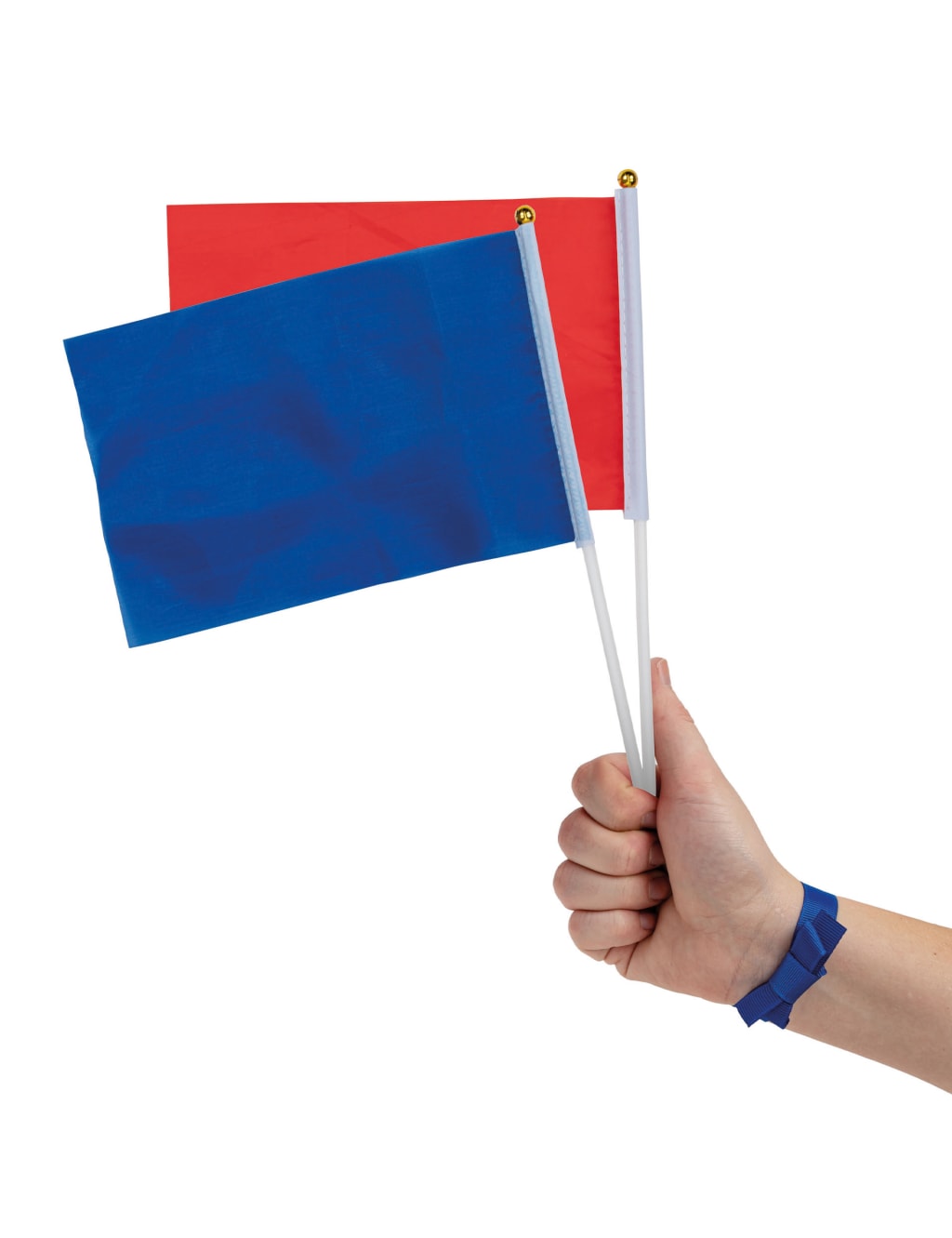 Hunt The Flag Game 5 of 6