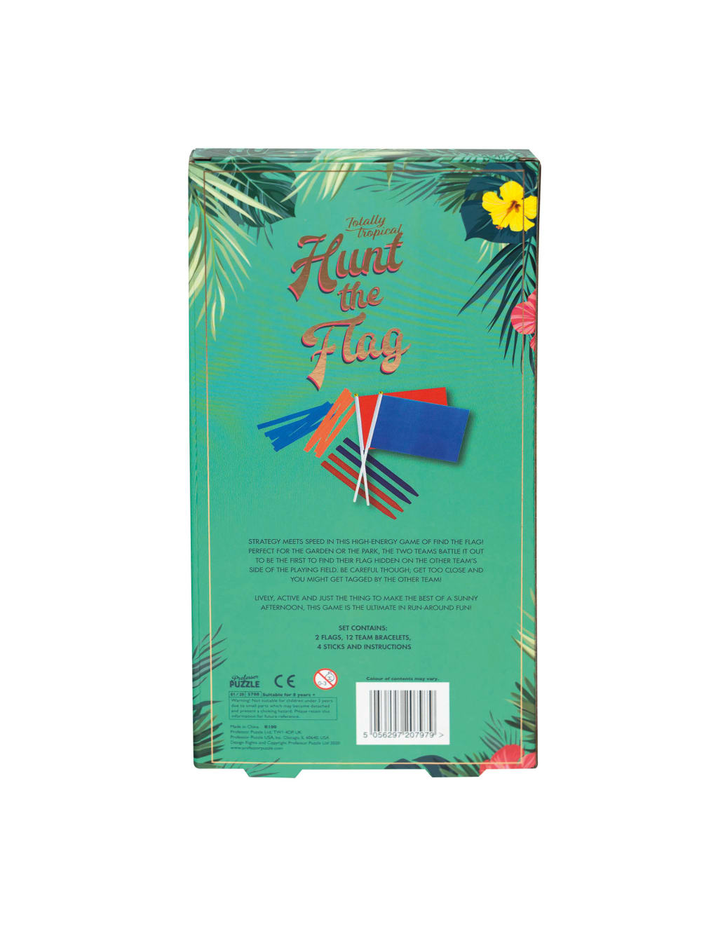 Hunt The Flag Game 6 of 6
