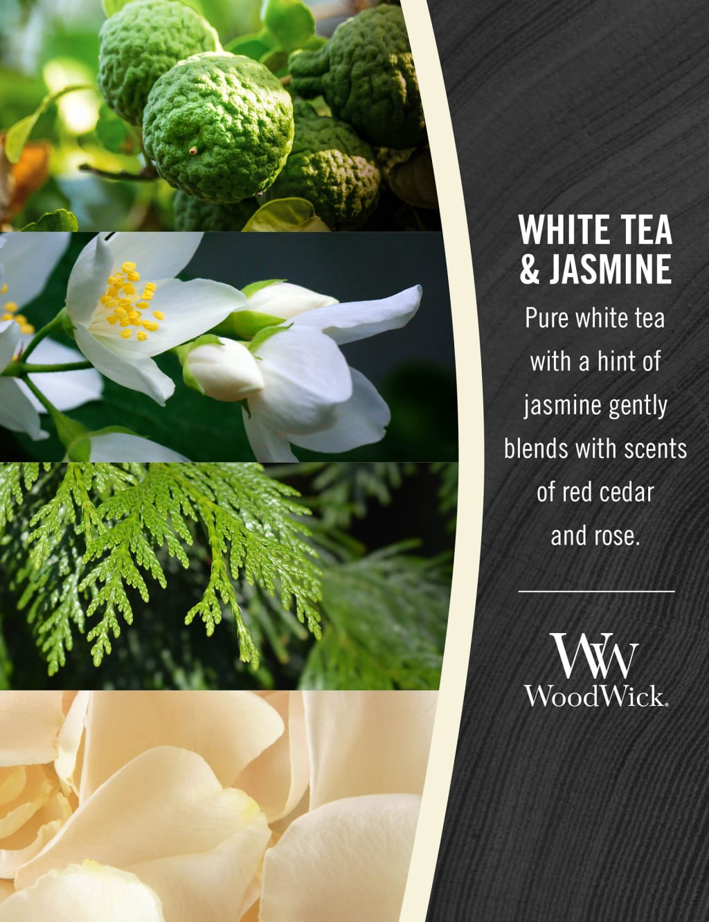White Tea & Jasmine Scented Candle with Crackle Wick 3 of 3