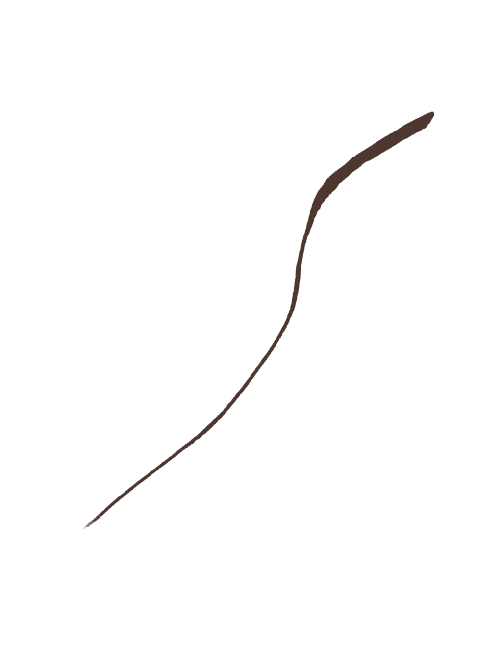Stay All Day® Waterproof Liquid Eye Liner Micro Tip 0.5ml 3 of 3